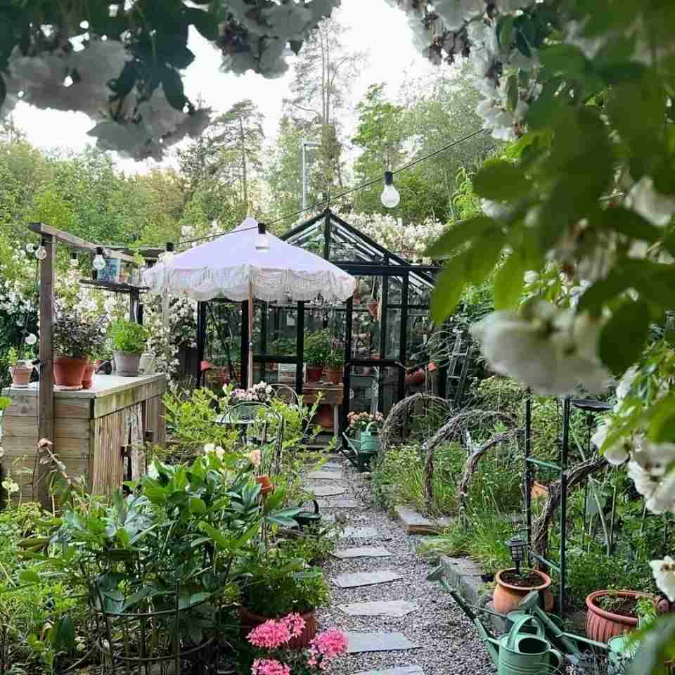 آهنگ جدید  باد پیچید تو مزرعه ی گندم پشت زمینای خونه پدربزرگ